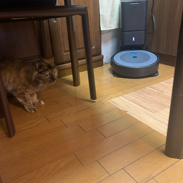 nekohagu2022さんの実例写真
