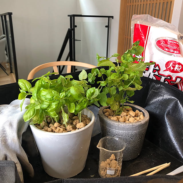 Rororiさんの部屋