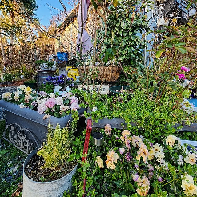 GreenHomeさんの部屋