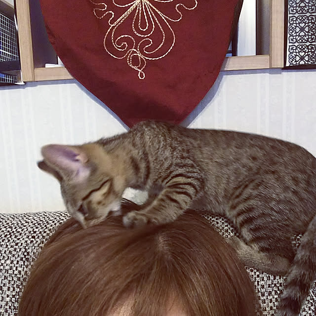 uutann320mozukuさんの実例写真