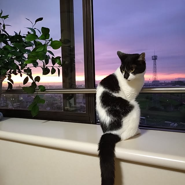 NOAHさんの部屋