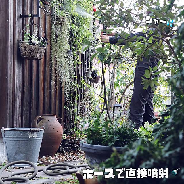 onsix777さんの実例写真