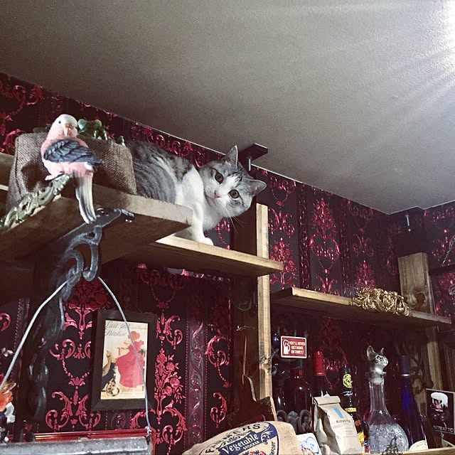 emmyyさんの実例写真