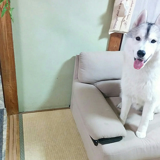 MMMさんの実例写真