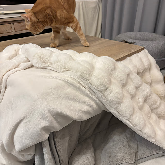 Atelier.mさんの部屋