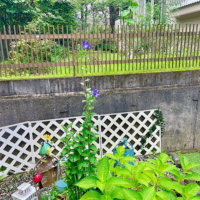 miyuさんの部屋