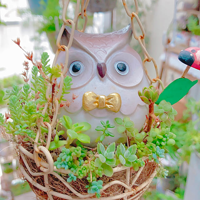 Hanakaさんの実例写真