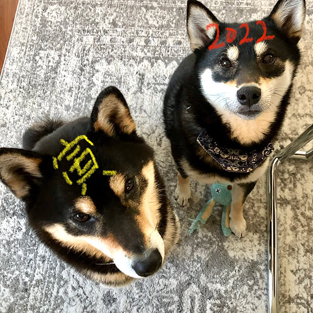 nuruiさんの実例写真