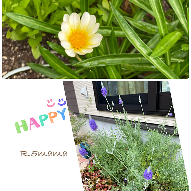 R.5.mamaさんの実例写真