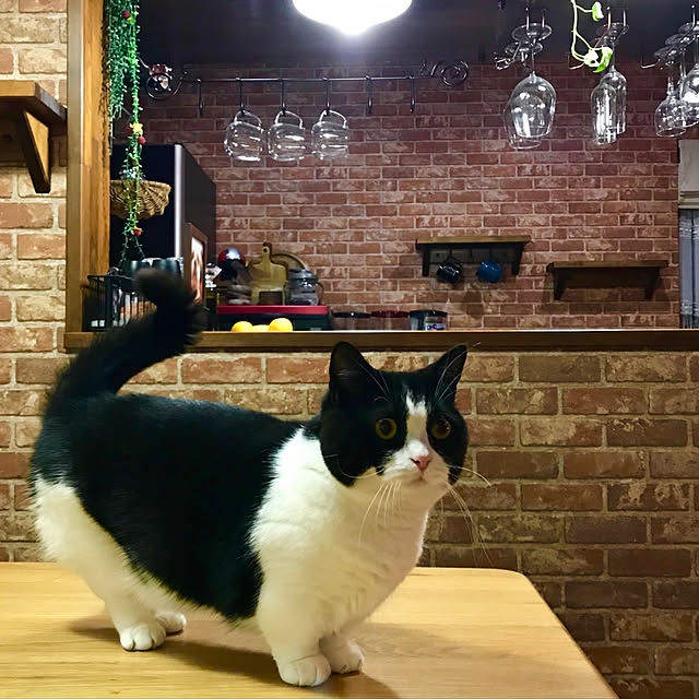 butachanさんの実例写真