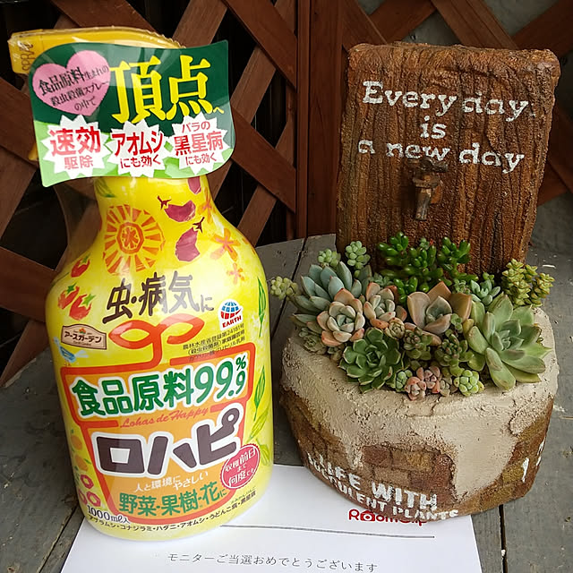 LittleMyさんの実例写真