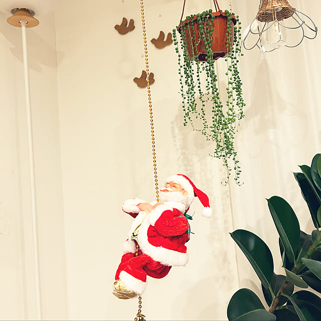 asasouさんの実例写真