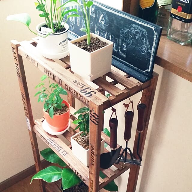 annさんの実例写真