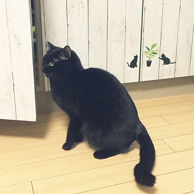 soraさんの実例写真