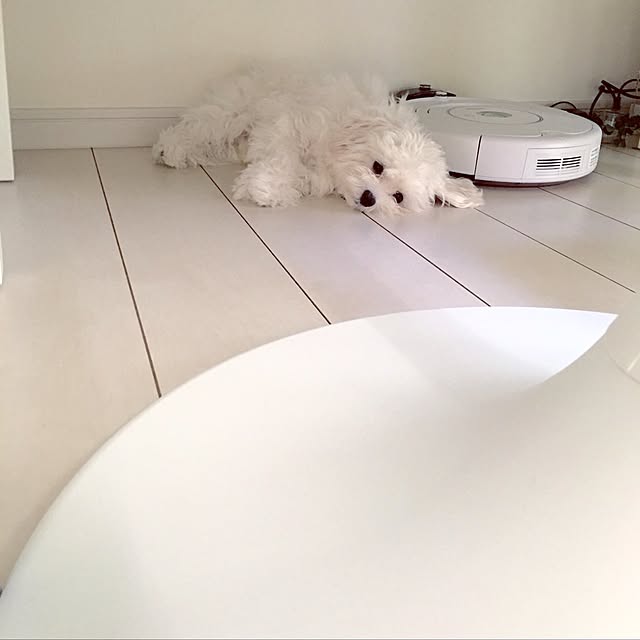 Mopmamaさんの実例写真