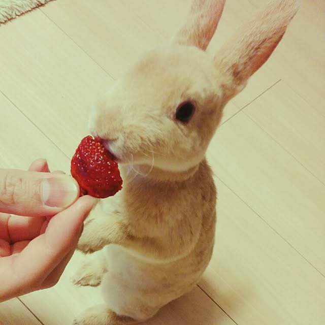 Moeさんの実例写真
