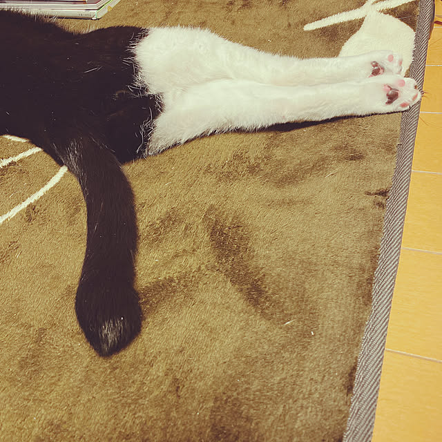 moolさんの実例写真
