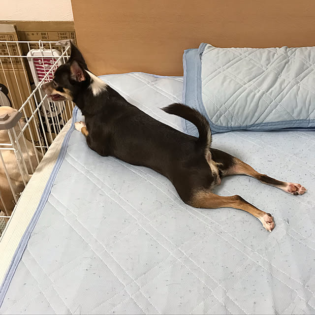 nacchintunnさんの実例写真