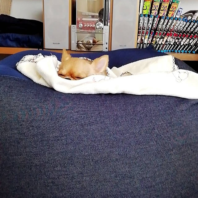 Rさんの実例写真