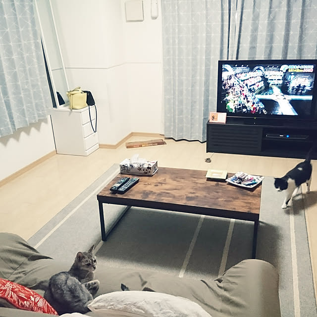 実例写真
