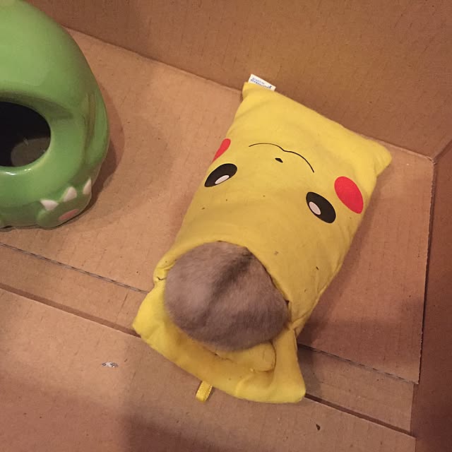 実例写真