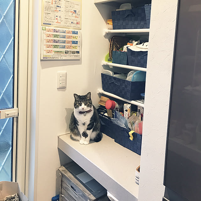 simamuuさんの実例写真