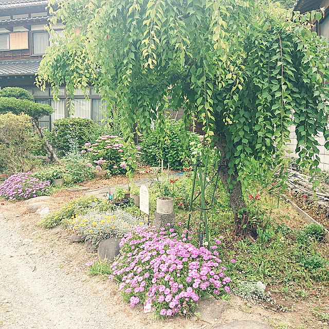 koppeさんの実例写真