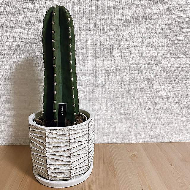 souさんの実例写真