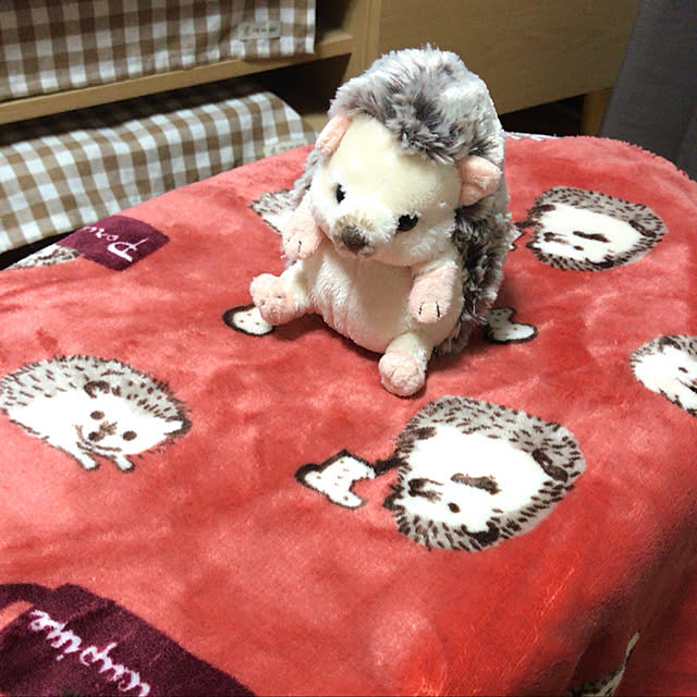 Chipさんの実例写真