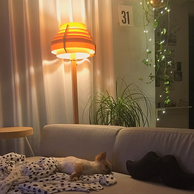 haruhinaさんの実例写真