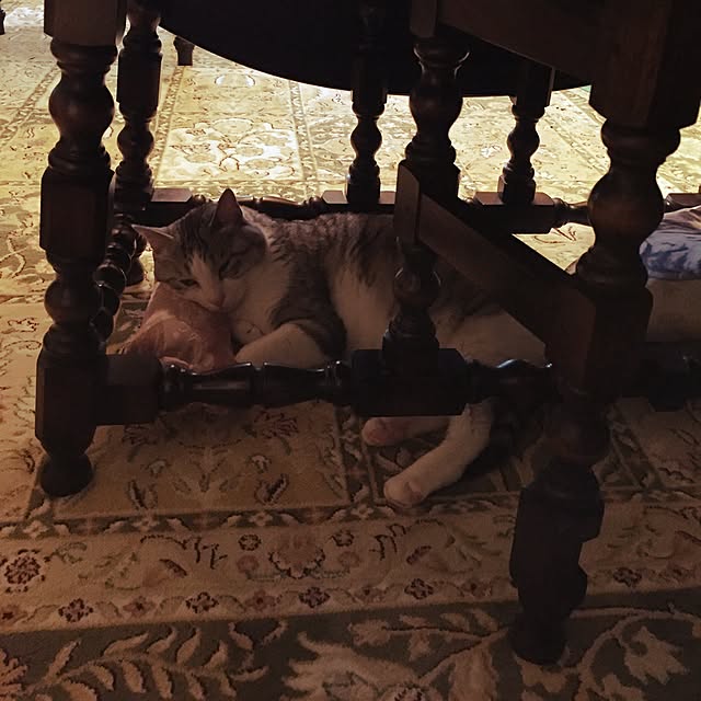 emmyyさんの実例写真