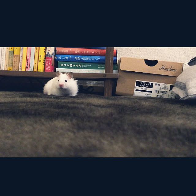 tomchchさんの実例写真