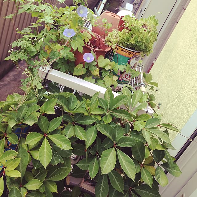 masamasaさんの実例写真