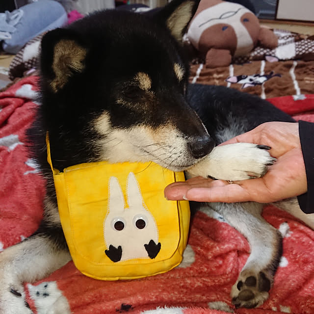 tsutawarimasuさんの実例写真