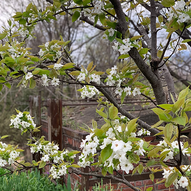 masakoさんの部屋