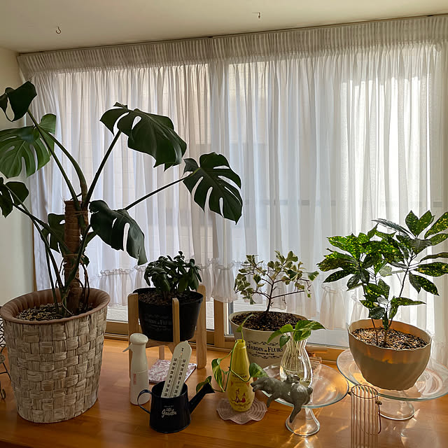 kakoさんの実例写真