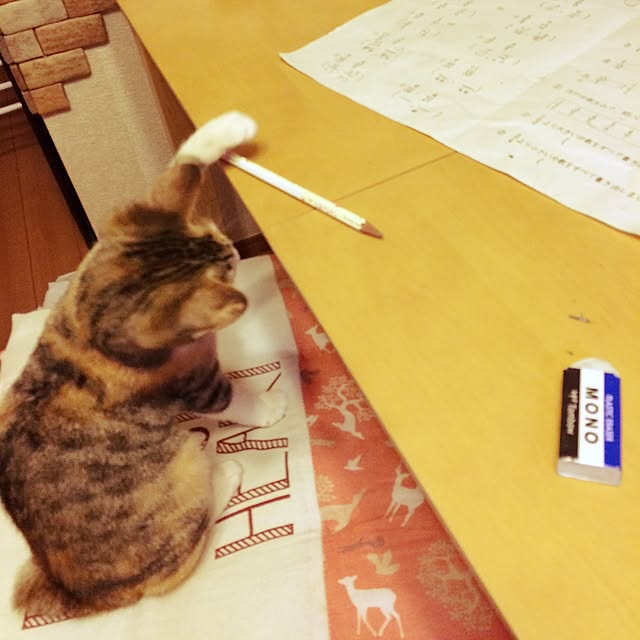 Mayさんの実例写真