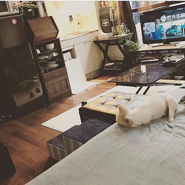 sacchiさんの実例写真
