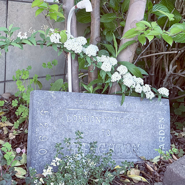 countryさんの部屋