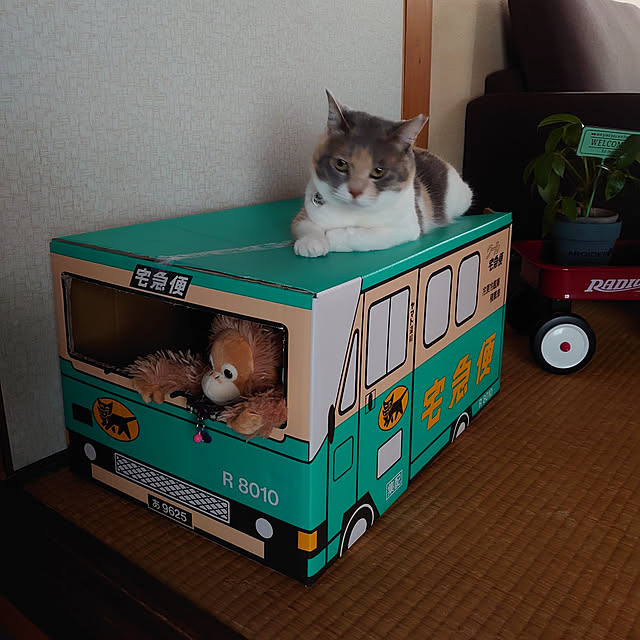 fukuさんの実例写真
