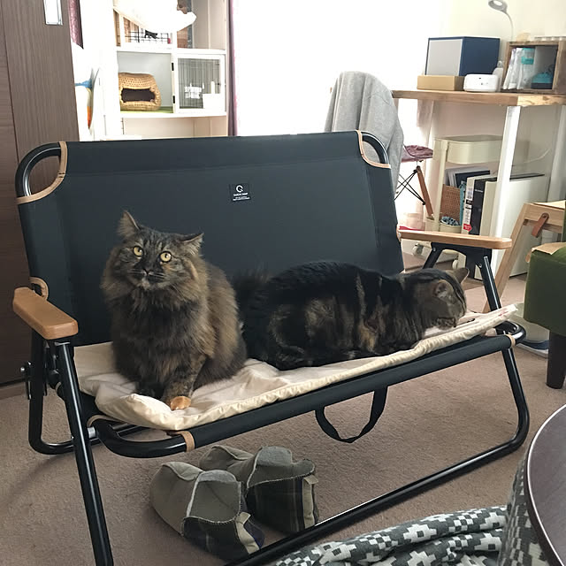 mikomaruさんの実例写真