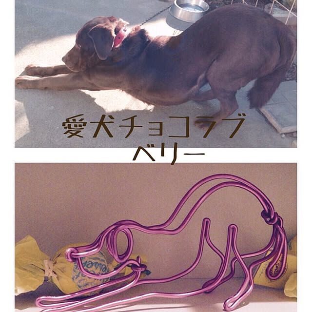 kazuさんの実例写真
