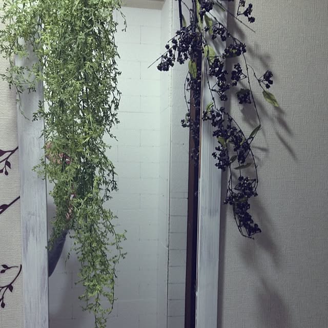 kiyomiさんの実例写真