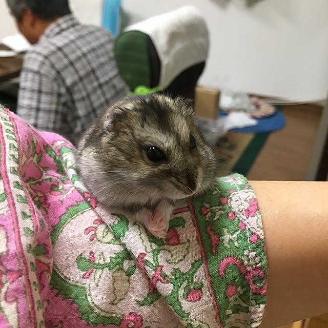 mogaさんの実例写真