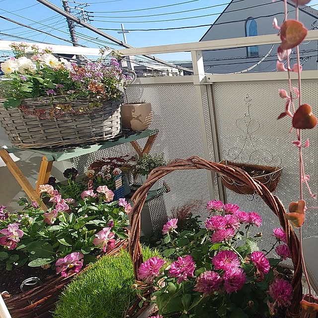 mana_iroさんの部屋
