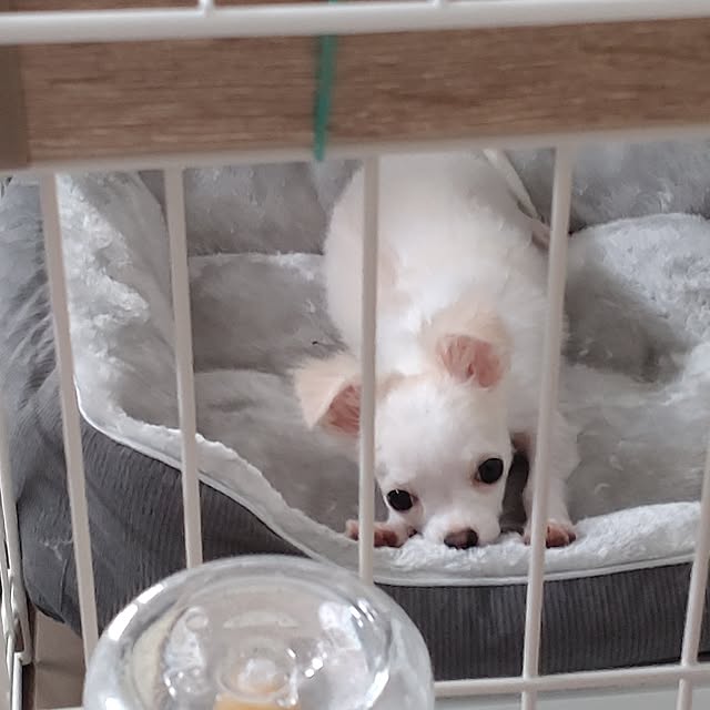Bienvenueさんの部屋
