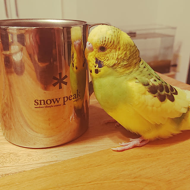 kyonさんの実例写真