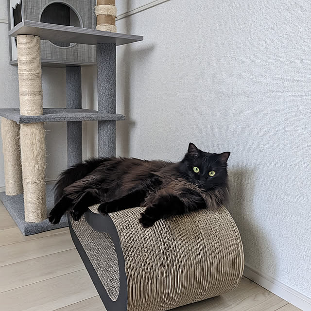 kumiさんの実例写真