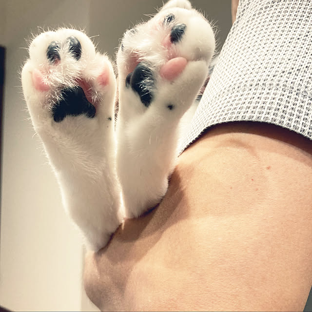 piyoさんの実例写真