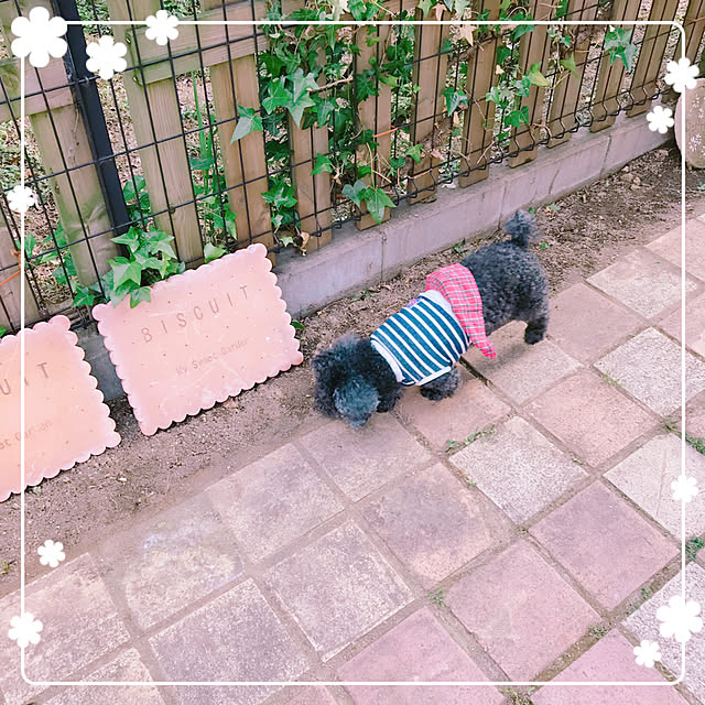 makkoさんの実例写真